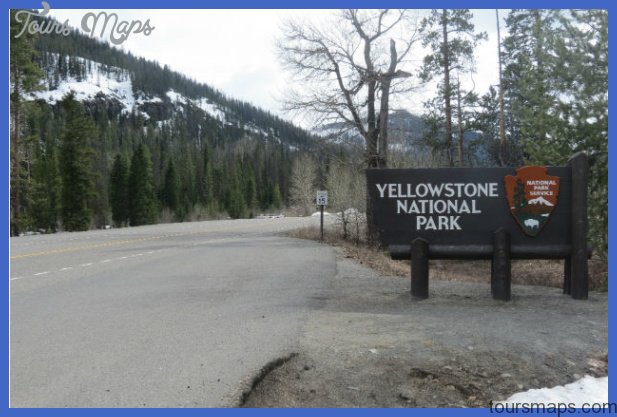 yellowstone east entrance 15 Yellowstone: EAST ENTRANCE