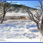 yellowstone mammoth hot springs area 14 150x150 Yellowstone Mammoth Hot Springs Area