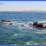 monterey with kids 1080x641 150x150 5 Best vacations in the USA