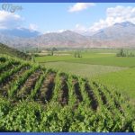 best vineyards in south america 728x546 150x150 Best country to visit in south america