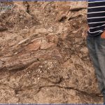 dinosaur national monument map utah 19 150x150 DINOSAUR NATIONAL MONUMENT MAP UTAH