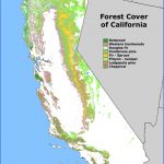 mendocino national forest map california 5 150x150 MENDOCINO NATIONAL FOREST MAP CALIFORNIA