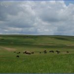 national grasslands in south dakota 10 150x150 NATIONAL GRASSLANDS IN SOUTH DAKOTA