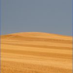 national grasslands in south dakota 22 150x150 NATIONAL GRASSLANDS IN SOUTH DAKOTA