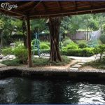 shiyan hot springs shenzhen 4 150x150 SHIYAN HOT SPRINGS SHENZHEN