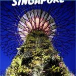5 best of singapore you did not know 16 150x150 5 Best Of Singapore You Did Not Know