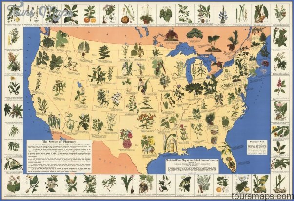 lgmedicinalplants Victorian Society in America US Map & Phone & Address