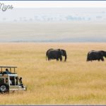 kenya nature wildlife and travel photographer 7 150x150 Kenya Nature Wildlife And Travel Photographer