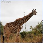 kenya nature wildlife and travel photography 6 150x150 Kenya Nature Wildlife And Travel Photography