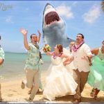 weddings of hawaii 2 150x150 Weddings of Hawaii