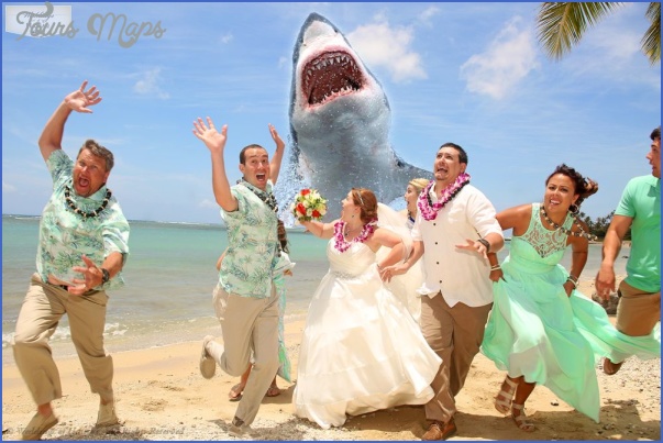 Weddings Of Hawaii Toursmaps Com