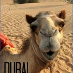 hire adventure emirates to enjoy your vacation in abu dhabi 7 150x150 Hire Adventure Emirates To Enjoy Your Vacation In Abu Dhabi