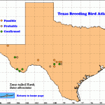 texas map zone 9 150x150 TEXAS MAP ZONE