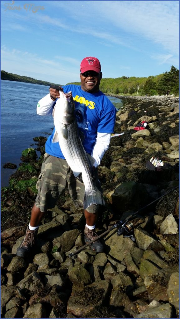 Striper Fishing Cape Cod Canal