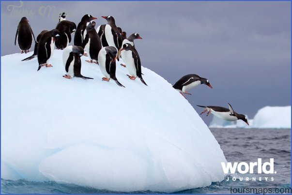 antarctic explorer cruises 18 Antarctic Explorer Cruises