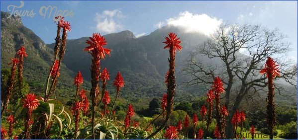 all inclusive trips to kirstenbosch national botanical garden 2 All Inclusive Trips To Kirstenbosch National Botanical Garden
