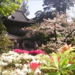japanese tea garden san francisco 4 150x150 Japanese Tea Garden SAN FRANCISCO