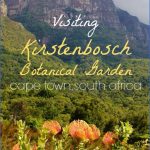 kirstenbosch national botanical garden trip cost 14 150x150 Kirstenbosch National Botanical Garden Trip Cost