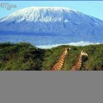 mount kilimanjaro 4 150x150 Mount Kilimanjaro