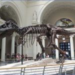 field museums sue the t rex 1024x768 150x150 BEST MUSEUMS IN CHICAGO