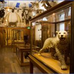 top 10 best museums in paris 10 150x150 BEST MUSEUMS IN PARIS