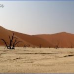 sossus oasis campsite sesriem namibia 10 150x150 Sossus Oasis Campsite Sesriem Namibia