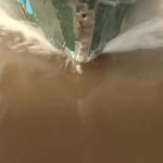 amazon river cruise 2016 hd 02 150x150 Amazon River Cruise