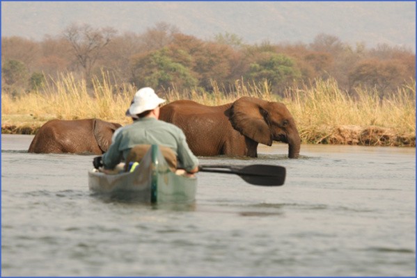 canoeing safari Africa Safaris, and travel   Botswana Zimbabwe Zambia
