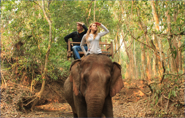 elephant ride luang prabang laos 15 Rideem Elephants   Luang Prabang Laos