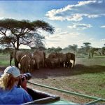elephants2 150x150 Africa Tours   Kenya Tanzania