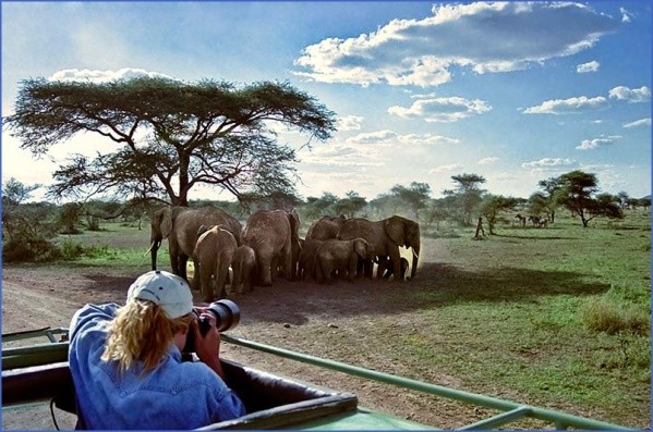 elephants2 Africa Tours   Kenya Tanzania