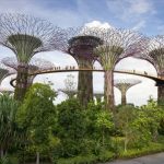 gettyimages 501842631 150x150 Singapore Travel Guide   City of the Future