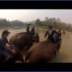 hqdefault 14 150x150 Rideem Elephants   Luang Prabang Laos