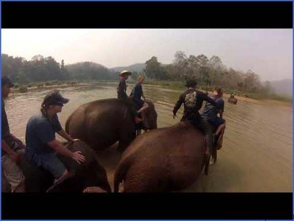 hqdefault 14 Rideem Elephants   Luang Prabang Laos