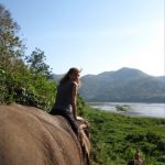 img 0700 150x150 Rideem Elephants   Luang Prabang Laos
