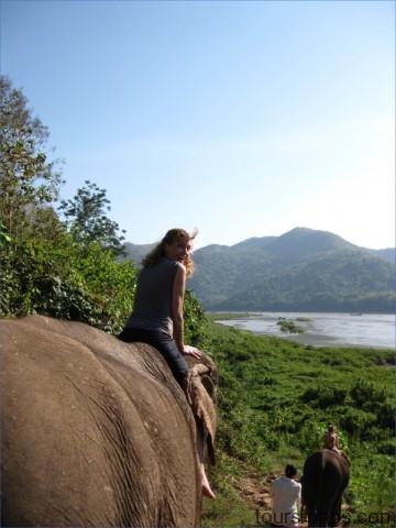 img 0700 Rideem Elephants   Luang Prabang Laos