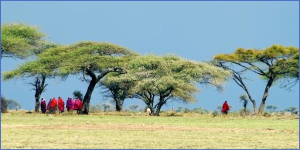 masaiunderacaciatreesafrica 263291432042996 crop 683 341 Africa Tours   Kenya Tanzania