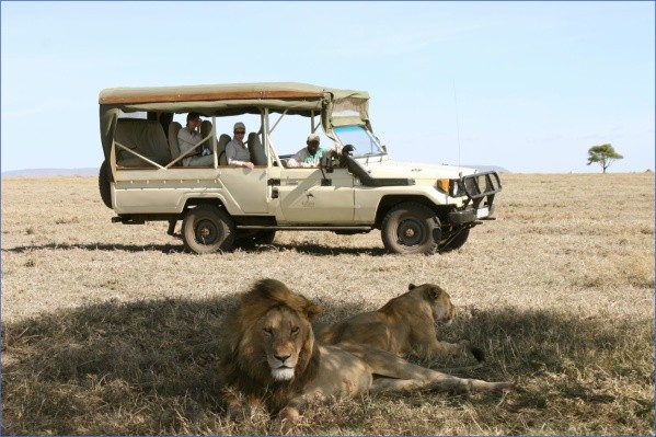 serengeti tours 4 x 4tanzania Africa Tours   Kenya Tanzania