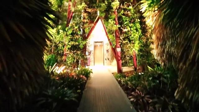 singapore travel guide city of the future 65 THE FUTURE OF TRAVEL