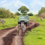 tanzania adventure tours 150x150 Africa Tours   Kenya Tanzania