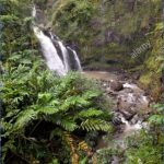 waterfalls in the path of road to hana maui hawaii oheo pools gulch f3kwgg 150x150 ROAD TO HANA   VOLCANOS And WATERFALLS IN MAUI HAWAII