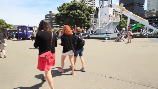 what to do in wellington new zealand 15 WHAT TO DO IN WELLINGTON NEW ZEALAND