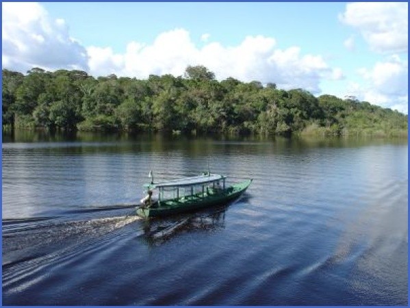 amazon rainforest adventures travel brazil 5 Amazon Rainforest Adventures   Travel Brazil