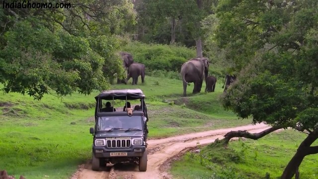 bandipur safari jungle lodges resorts i india travel 03 Bandipur Safari Jungle Lodges Resorts I India Travel