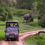 bandipur safari jungle lodges resorts i india travel 41 150x150 Bandipur Safari Jungle Lodges Resorts I India Travel