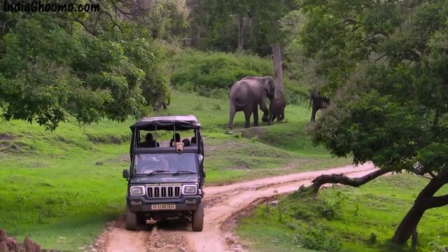bandipur safari jungle lodges resorts i india travel 41 Bandipur Safari Jungle Lodges Resorts I India Travel