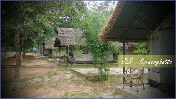 bannerghatta nature camp jungle lodges resorts review 3 Bannerghatta Nature Camp   Jungle Lodges Resorts   REVIEW