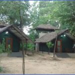 bannerghatta nature camp jungle lodges resorts review 4 150x150 Bannerghatta Nature Camp   Jungle Lodges Resorts   REVIEW