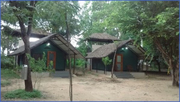 bannerghatta nature camp jungle lodges resorts review 4 Bannerghatta Nature Camp   Jungle Lodges Resorts   REVIEW