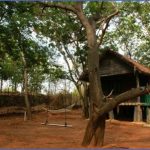 bannerghatta nature camp jungle lodges resorts review 7 150x150 Bannerghatta Nature Camp   Jungle Lodges Resorts   REVIEW